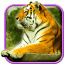 icon android Tigers Live Wallpaper