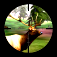 icon android 3D Hunting: Trophy Whitetail Championship