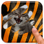 icon android Animal Quiz 2015