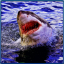 icon android Shark Attack Beach Survival 3D