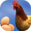 icon android Egg Collect Game