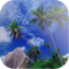 icon android Hawaii Scenery Wallpaper