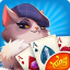 icon android Shuffle Cat Cards
