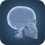 icon android Anatomy 4D