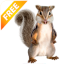 icon android Real Talking Squirrel