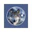 icon android Wolf Sounds