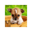 icon android Dog Puzzles