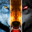 icon android Wolf Online