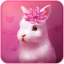 icon android Cute Animals Live Wallpaper