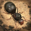 icon android The Ants