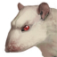 icon android Rat Clicker