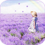 icon android Lavender