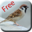 icon android Bird Sounds & Ringtones