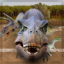 icon android JurassicRace