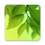 icon android Leaf Live Wallpaper