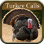 icon android Turkey Hunting Calls