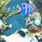 icon android ACE: Under the sea