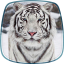 icon android White Tiger Live Wallpaper