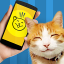 icon android Cat Phrasebook Translator