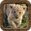 icon android Animal Sounds