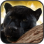 icon android Black Panther Live Wallpaper