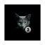 icon android Find a cat 2