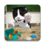 icon android Cat Simulator