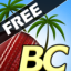 icon android Beach Cricket