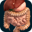 icon android Organs 3D (Anatomy)