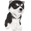 icon android Youndoo [Cute puppy]