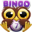 icon android Bingo Crack