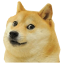 icon android Flappy Doge