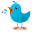 icon android Sounds of Birds Ringtones