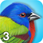 icon android iBird Lite